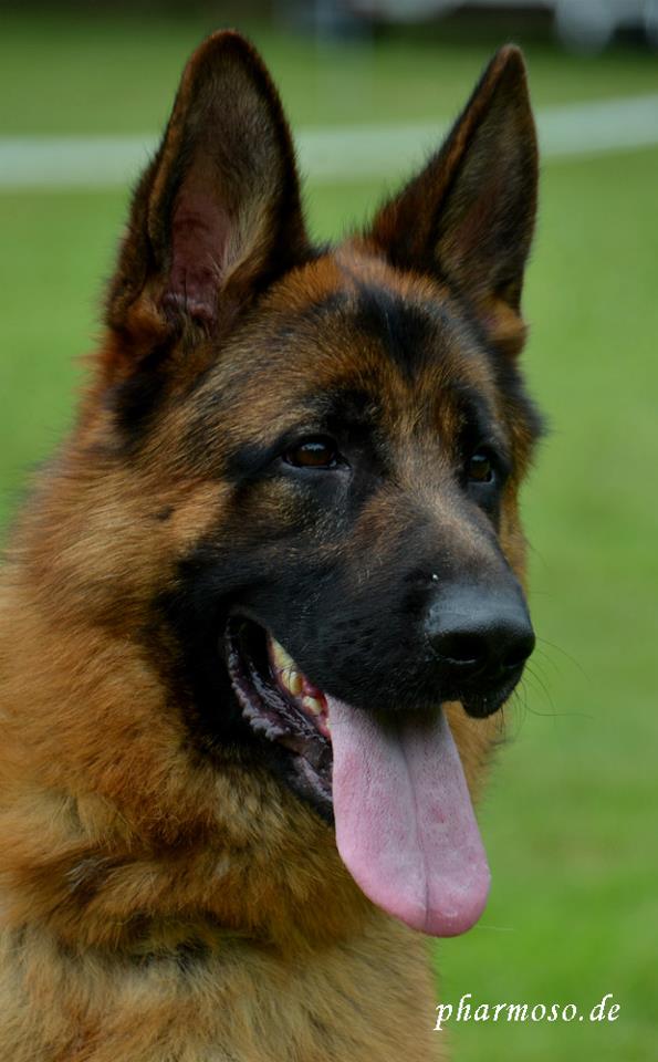 esko